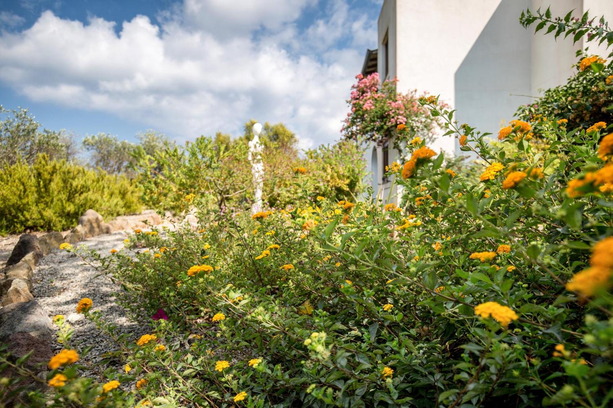 Sealight Villa Lipari - Vista E Piscina エクステリア 写真