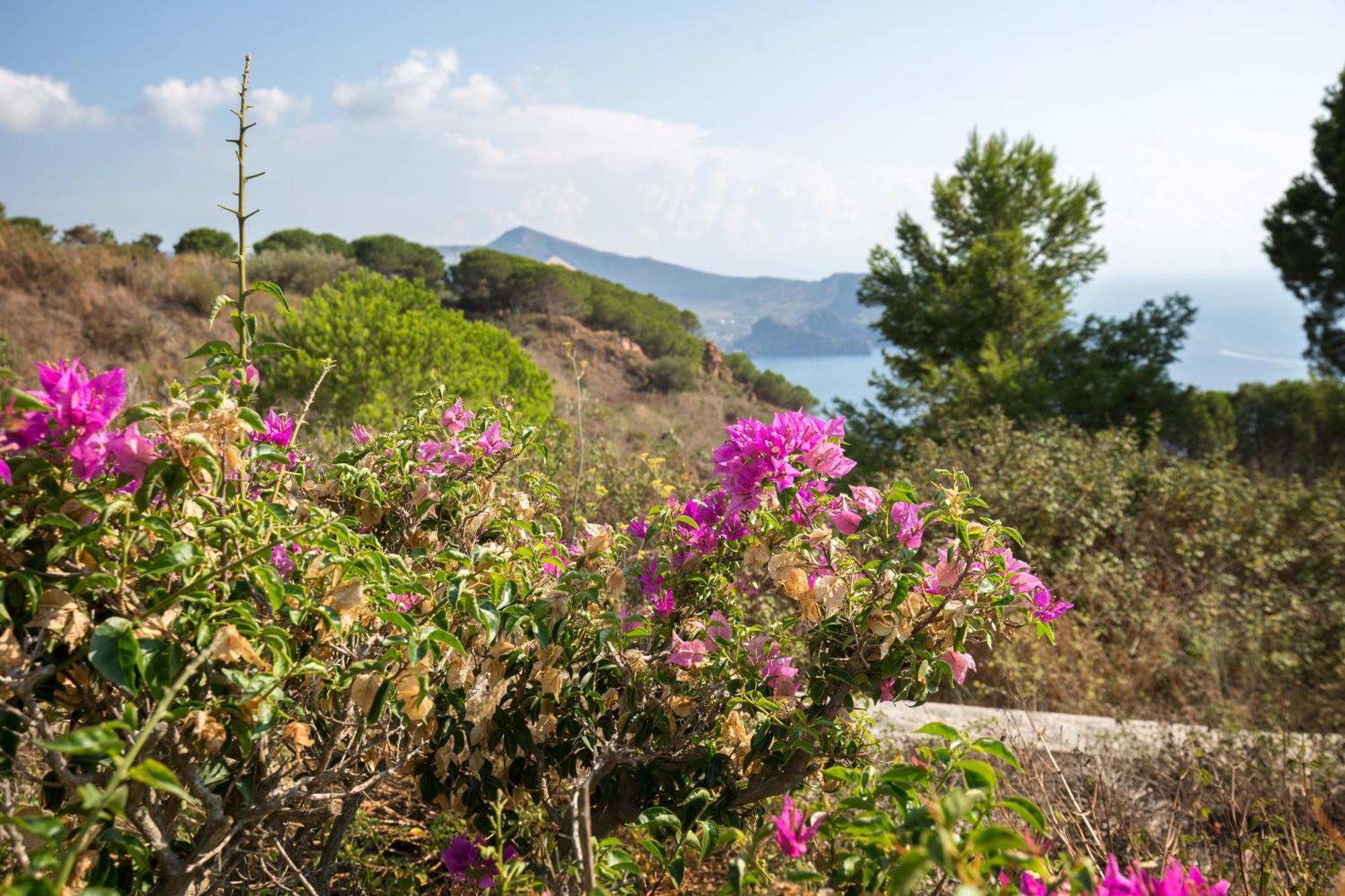 Sealight Villa Lipari - Vista E Piscina エクステリア 写真